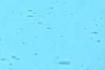 1410xx hellblau (hell-kupferblau)